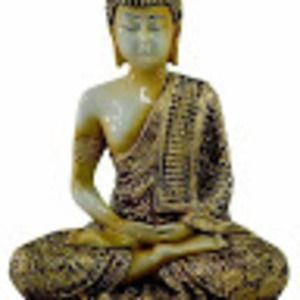 Meet your Posher, Shashi